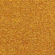 Radici Trotter Mostarda 2412 фото 1 | FLOORDEALER